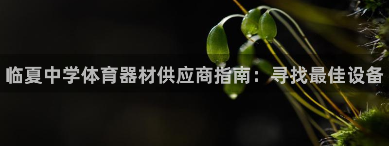 耀世娱乐脚本下载官网：临夏中学体育器材供应商指南：寻