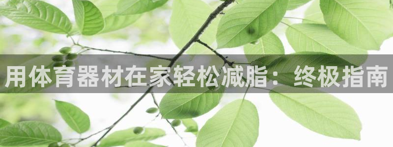 耀世国际平台正规吗可信吗安全吗：用体育器材在家轻松减