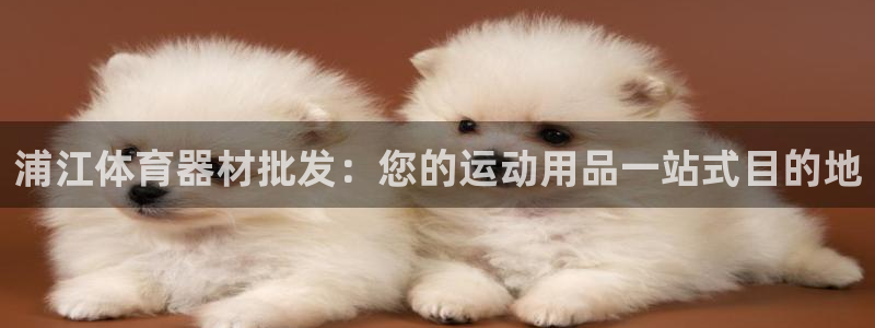 耀世娱乐中国总部地址：浦江体育器材批发：您的运动用品