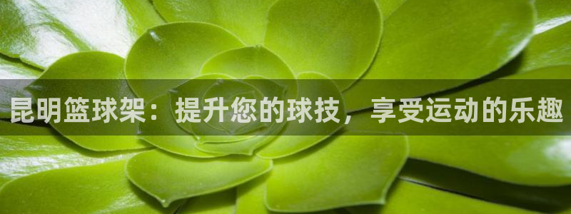 耀世平台卜6.7.5.1.3.8：昆明篮球架：提升您