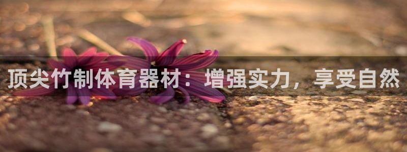 耀世天下：顶尖竹制体育器材：增强实力，享受自然