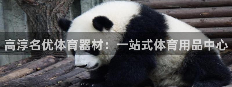 耀世娱乐代理什么待遇可以做：高淳名优体育器材：一站式体育用品