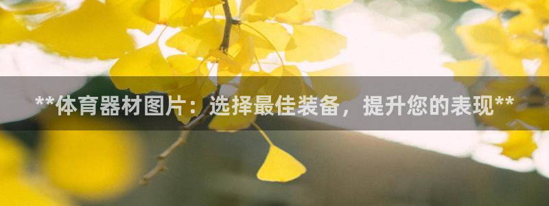 耀世平台代理注册登录失败：**体育器材图片：选择最佳