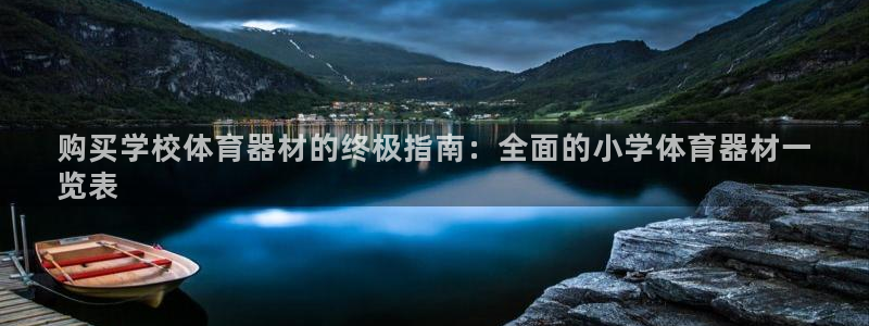 耀世微光下载：购买学校体育器材的终极指南：全面的小学