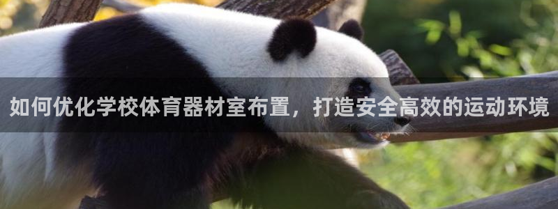 耀世璀璨：如何优化学校体育器材室布置，打造安全高效的