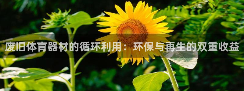 耀世娱乐软件下载官网：废旧体育器材的循环利用：环保与
