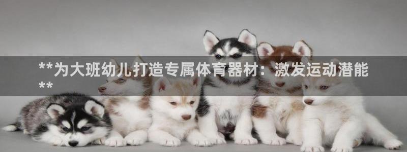 耀世娱乐腾讯分分彩：**为大班幼儿打造专属体育器材：