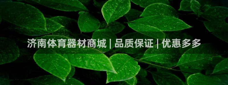 耀世平台总代理在哪：济南体育器材商城 | 品质保证 