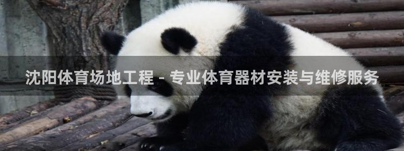 耀世平台的运营模式：沈阳体育场地工程 - 专业体育器