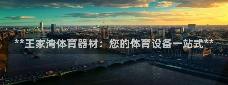 耀世挑战怎么打：**王家湾体育器材：您的体育设备一站