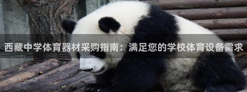 耀世意思：西藏中学体育器材采购指南：满足您的学校体育
