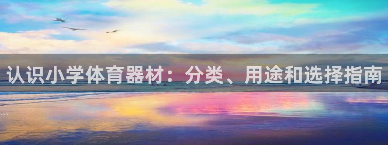 耀世娱乐挂机脚本：认识小学体育器材：分类、用途和选择