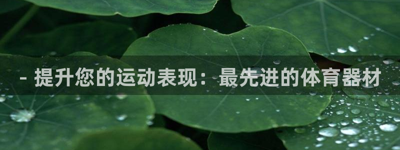 耀世娱乐登陆官网网址：- 提升您的运动表现：最先进的体育器材