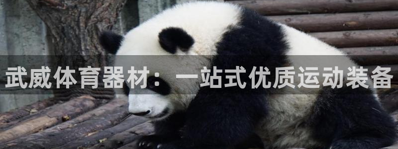 耀世娱乐平台巴7O777：武威体育器材：一站式优质运