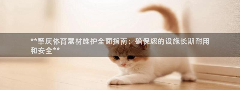 耀世微光曲谱：**肇庆体育器材维护全面指南：确保您的