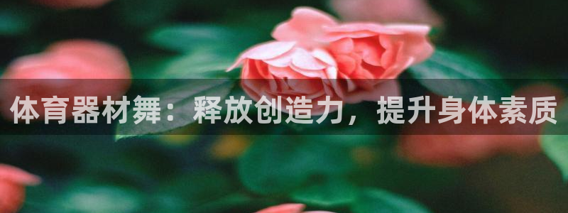 耀世娱乐官方网站：体育器材舞：释放创造力，提升身体素