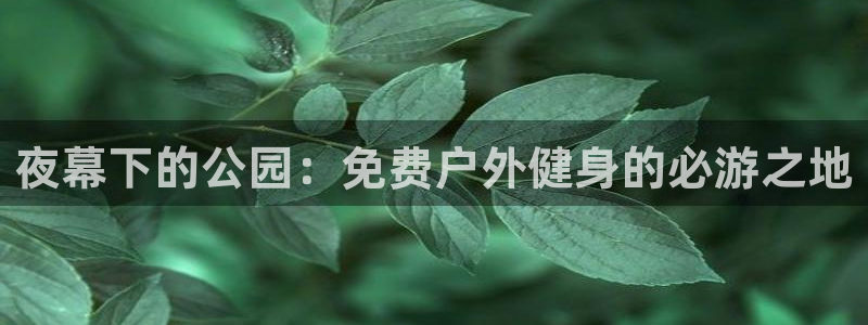 耀世娱乐挂机脚本怎么用：夜幕下的公园：免费户外健身的
