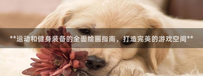 耀世楼盘：**运动和健身装备的全面绘画指南，打造完美的游戏空