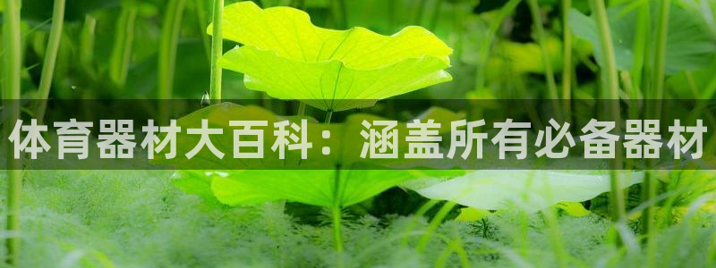 耀世娱乐：体育器材大百科：涵盖所有必备器材