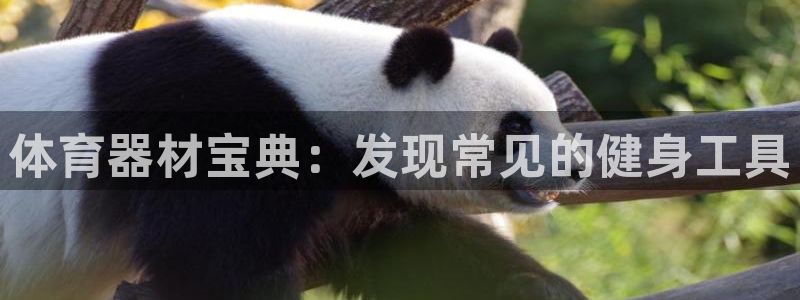 耀世娱乐注册入口在哪：体育器材宝典：发现常见的健身工