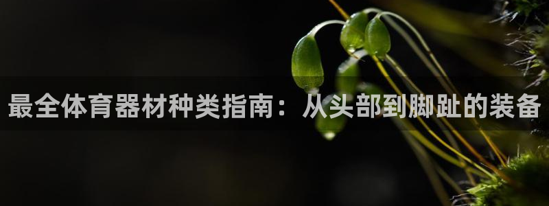 耀世什么意思：最全体育器材种类指南：从头部到脚趾的装