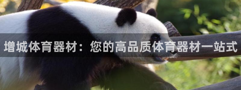 耀世娱乐辅助软件下载安卓：增城体育器材：您的高品质体