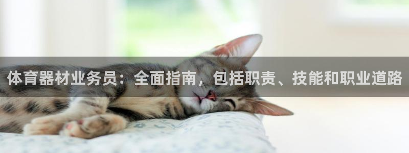 耀世娱乐百科百度：体育器材业务员：全面指南，包括职责
