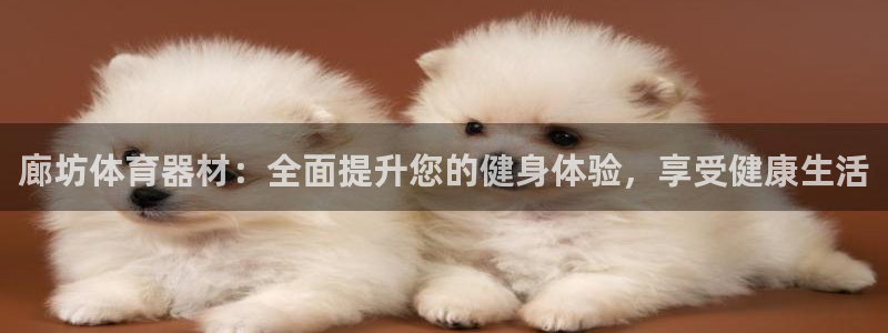 耀世娱乐优 411o31 耀世：廊坊体育器材：全面提