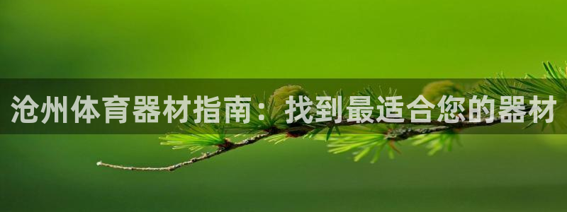 耀世集团是干嘛的企业啊怎么样：沧州体育器材指南：找到最适合您