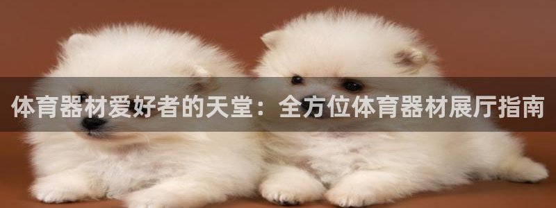 耀世娱乐黑钱吗能退吗：体育器材爱好者的天堂：全方位体