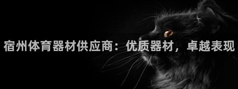耀世娱乐注册开户要多久：宿州体育器材供应商：优质器材，卓越表