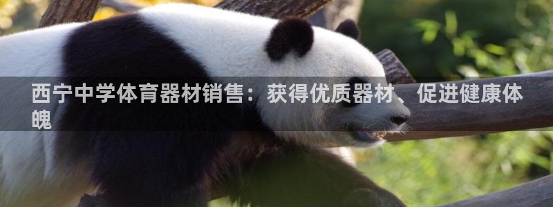 耀世官网入口