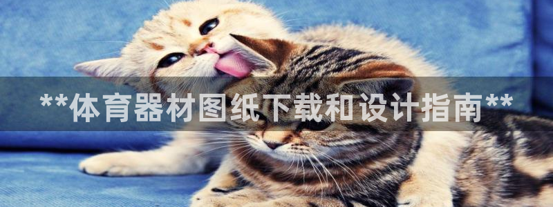 耀世平台将7O777：**体育器材图纸下载和设计指南**