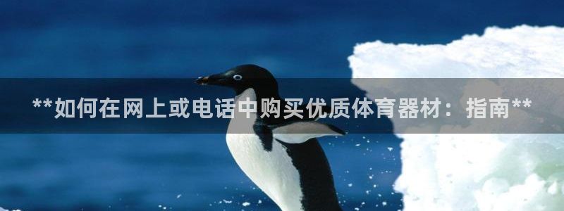 耀世平台最新注册地址在哪里：**如何在网上或电话中购
