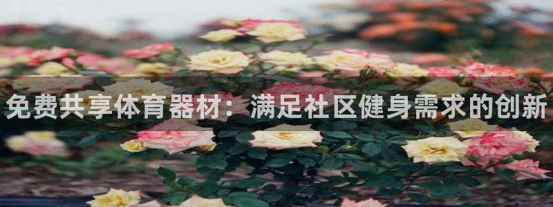 耀世娱乐是不是赚钱了：免费共享体育器材：满足社区健身需求的创