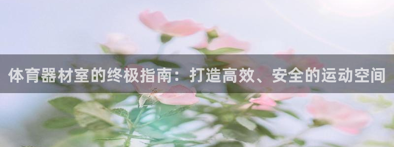 耀世平台代理多少钱：体育器材室的终极指南：打造高效、