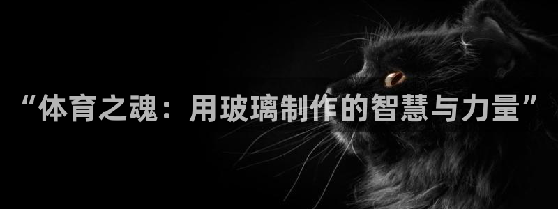 耀世娱乐平台注册地址在哪里查