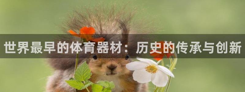 耀世天下短句：世界最早的体育器材：历史的传承与创新