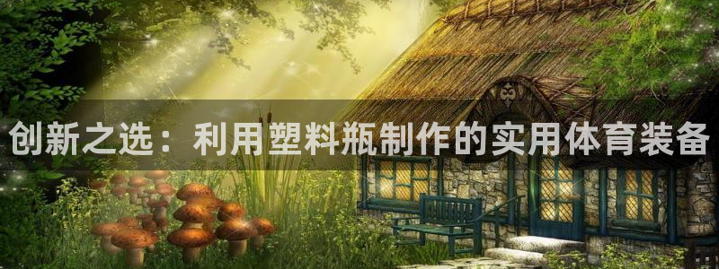 耀世微光下载：创新之选：利用塑料瓶制作的实用体育装备