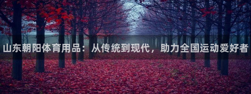 耀世国际集团董事长：山东朝阳体育用品：从传统到现代，