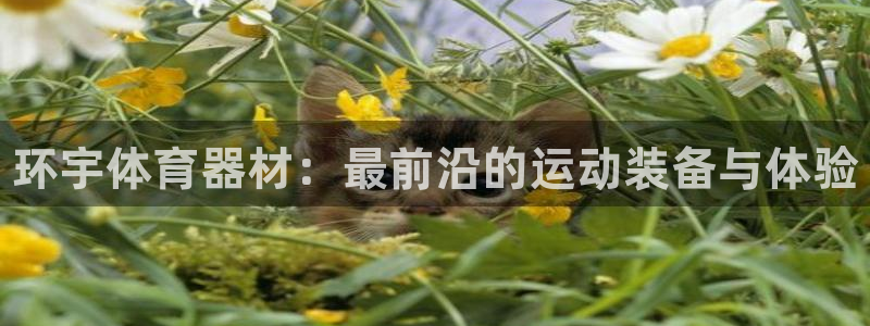 耀世娱乐联3.7.9.9.7 天乐：环宇体育器材：最前沿的运