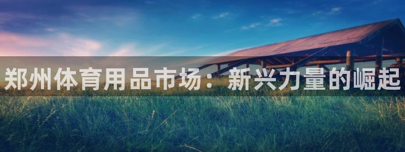 耀世娱乐赢咖APP：郑州体育用品市场：新兴力量的崛起